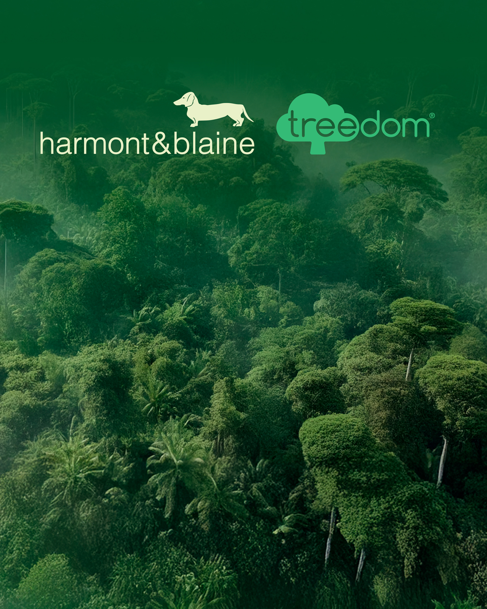 Logo Harmont & Blaine e Treedom su sfondo di foresta verde.