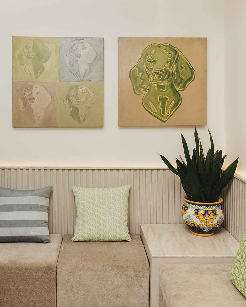 Interno con cuscini, piante e quadri decorativi a Capri.