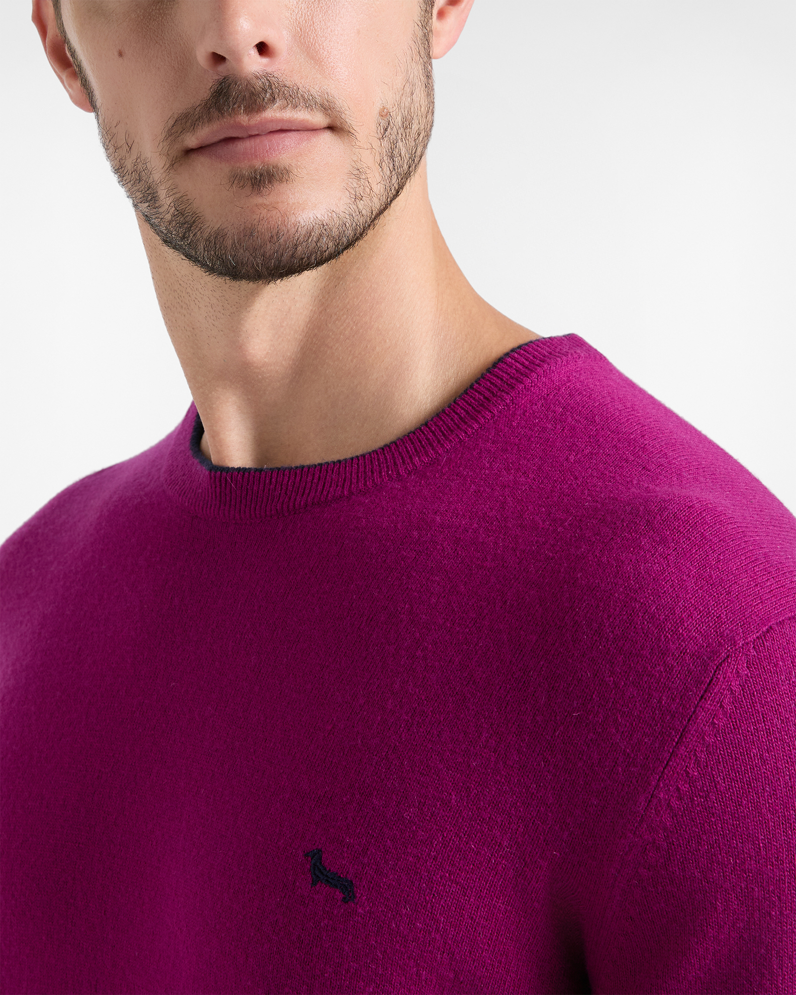 Maglia Uomo girocollo con riga contrasto in misto lana e cashmere grigio Regular Fit, CICLAMINO, large