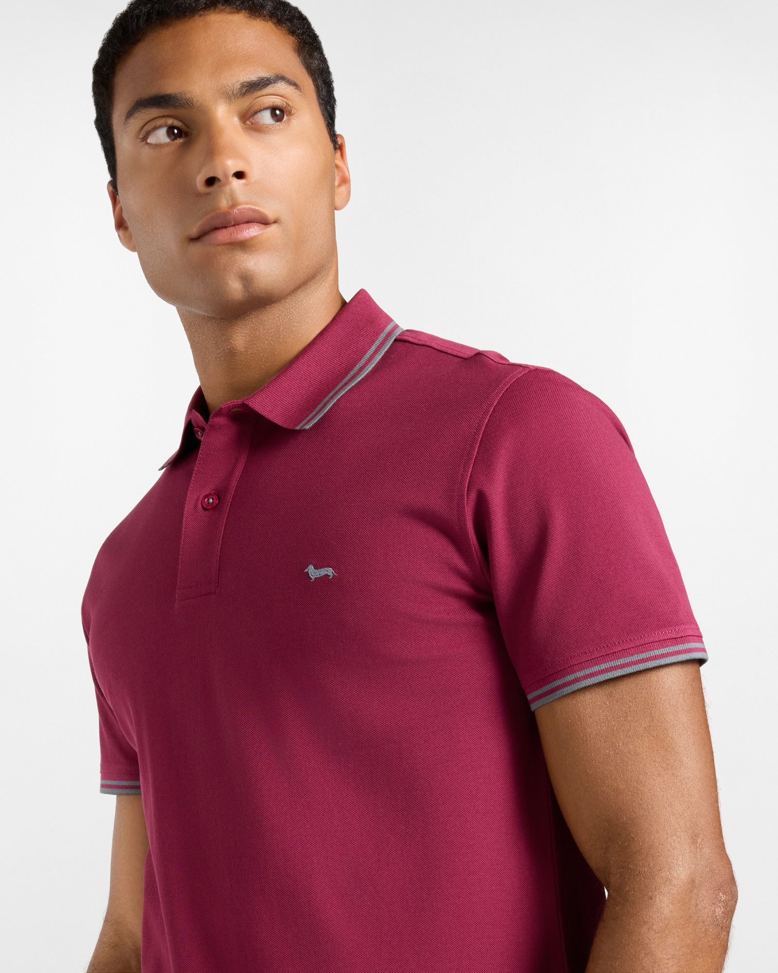 Polo da uomo manica corta in piquet di 100% puro cotone, INDIAN ROSE, large
