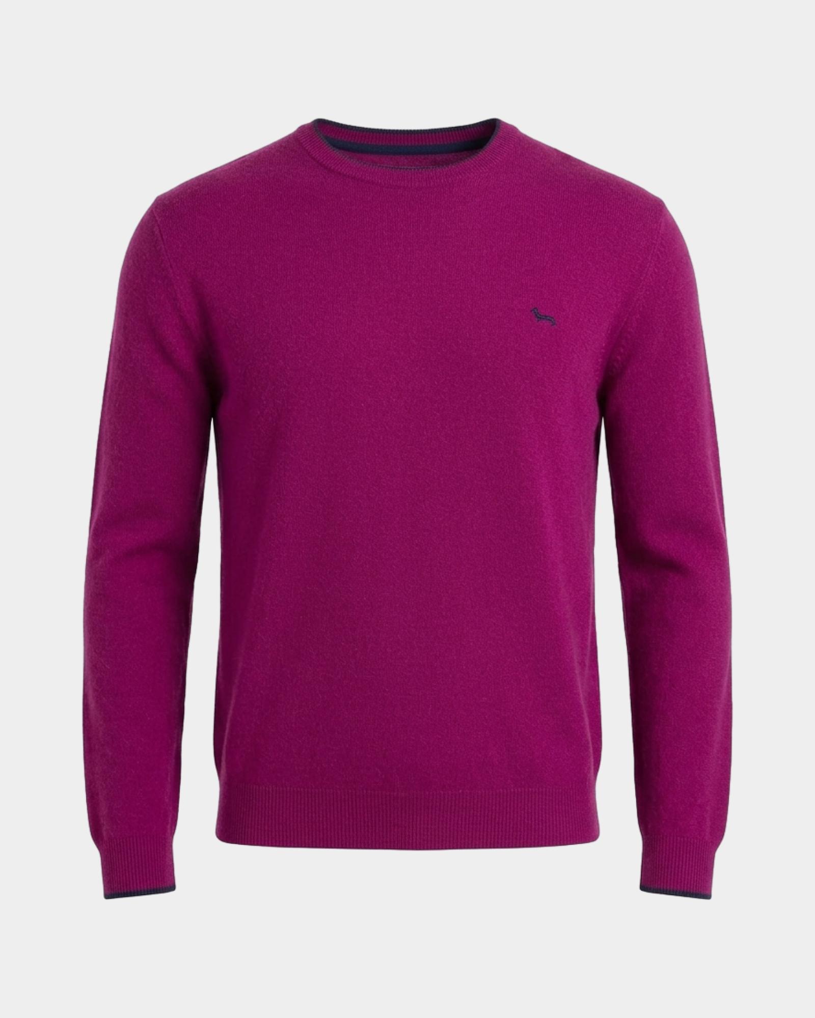 Maglia Uomo girocollo con riga contrasto in misto lana e cashmere grigio Regular Fit, CICLAMINO, large