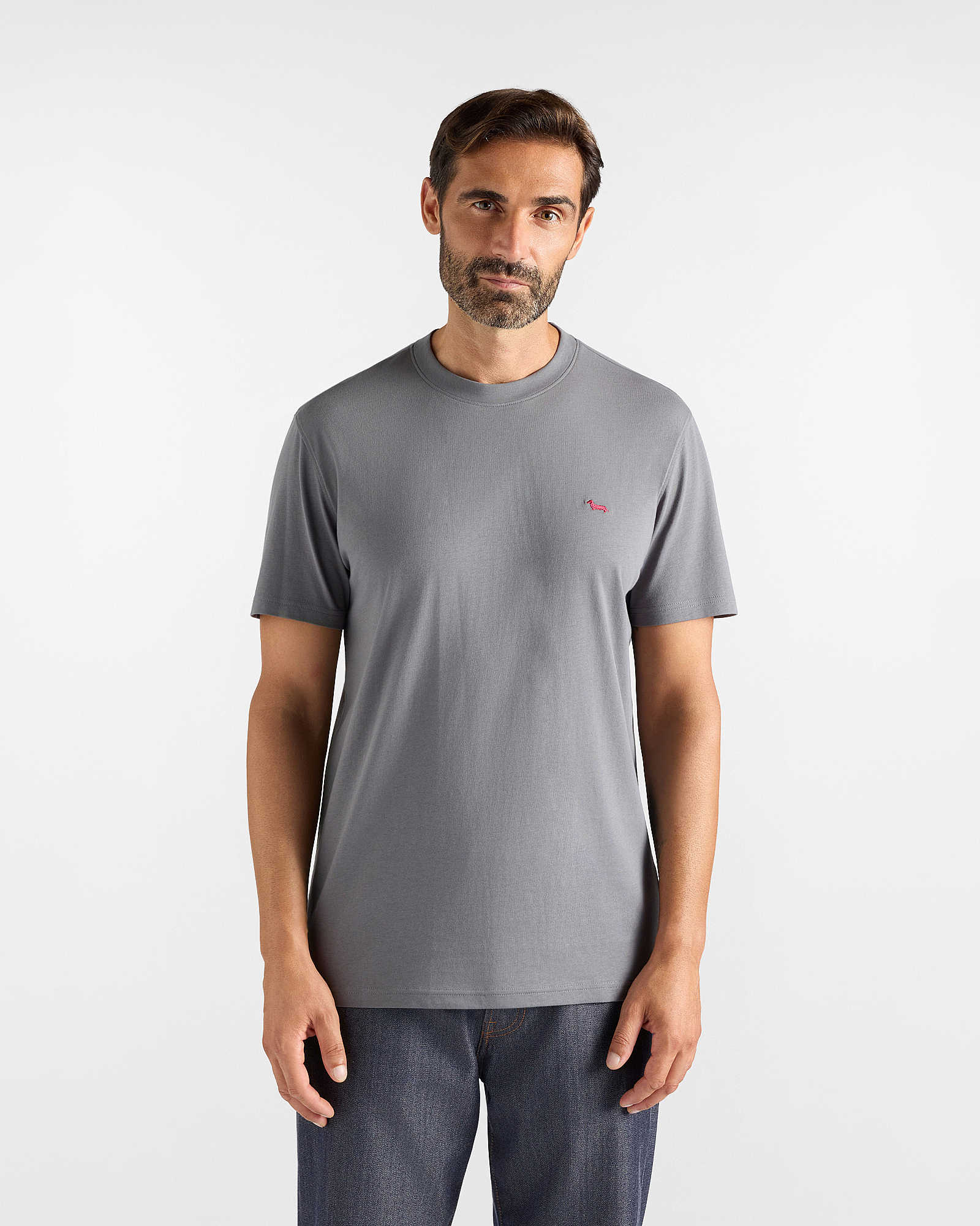 T-shirt Uomo in 100% puro cotone grigio Regular Fit