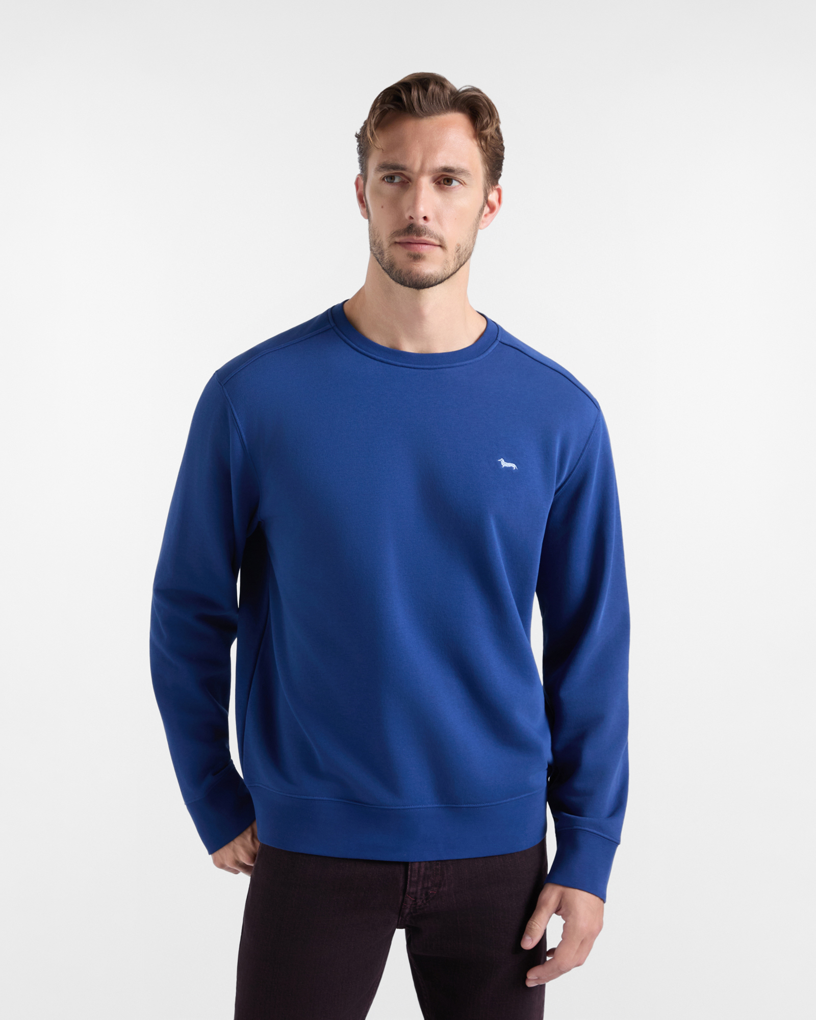 Felpa Uomo girocollo in felpa garzata blu cobalto Regular Fit