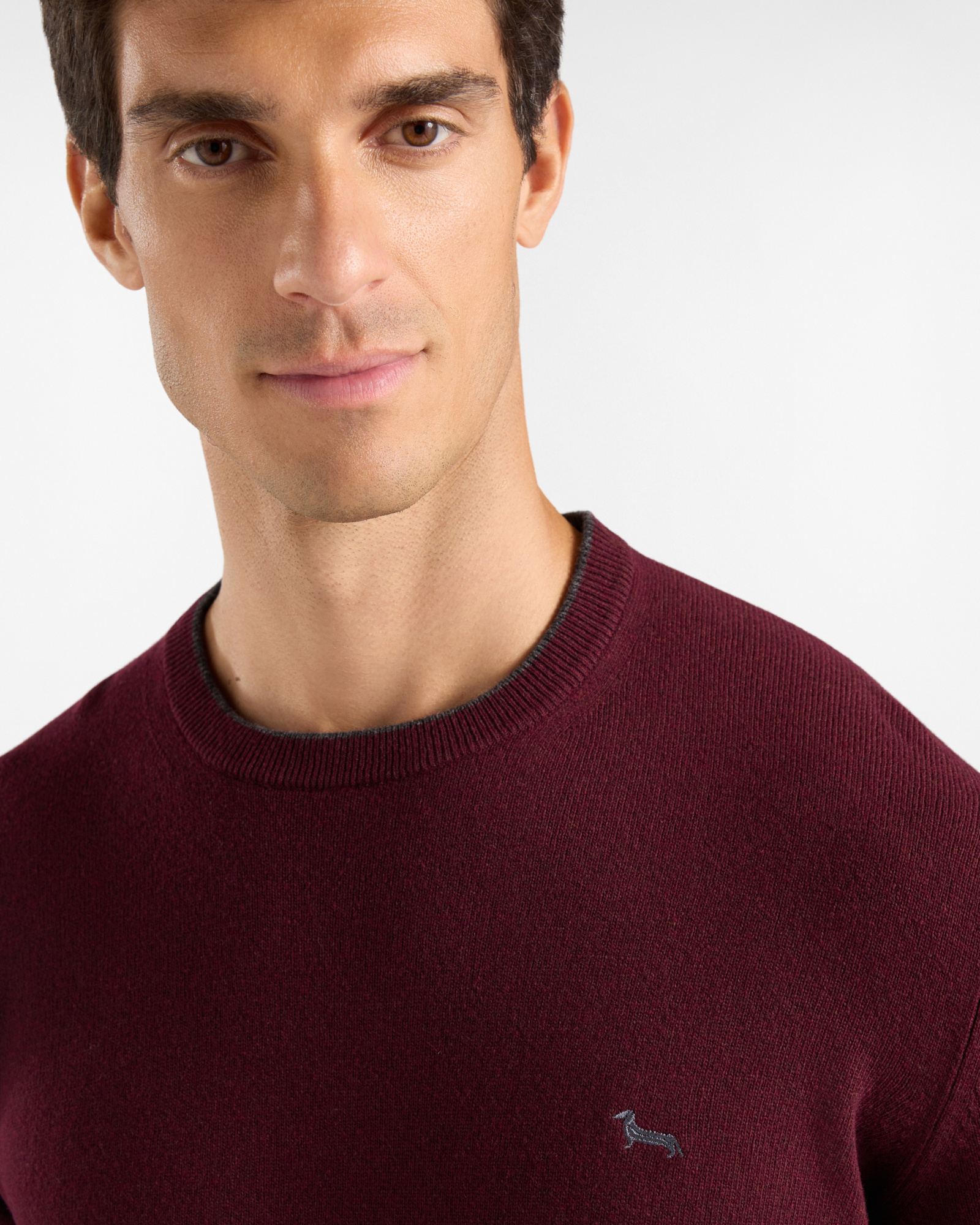 Maglia Uomo girocollo con riga contrasto in misto lana e cashmere grigio Regular Fit, BORDEAUX, large