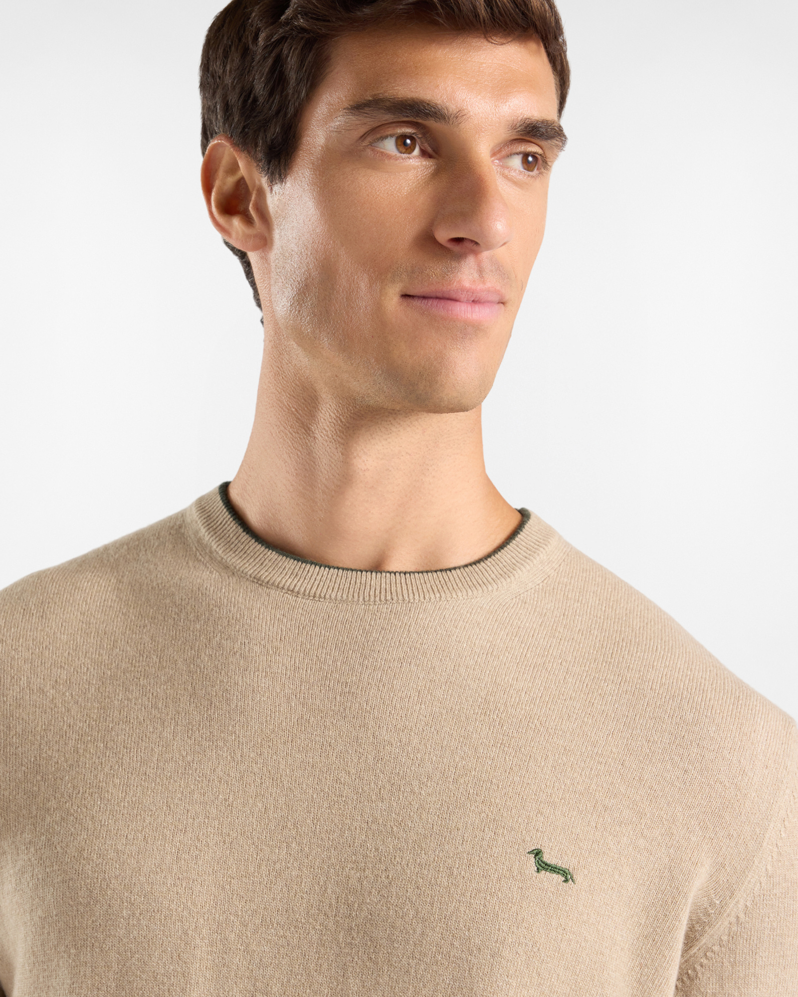 Maglia Uomo girocollo con riga contrasto in misto lana e cashmere grigio Regular Fit, BEIGE, large