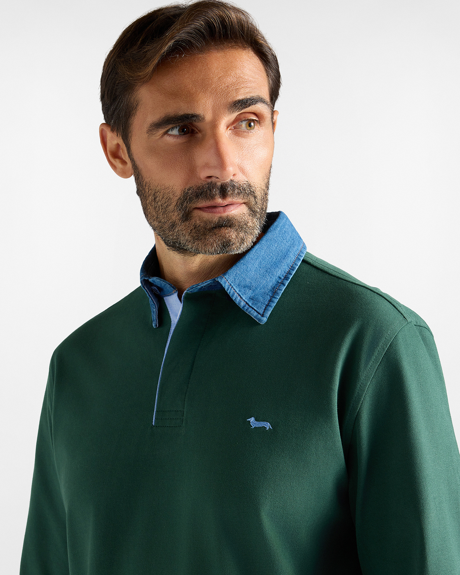 Polo Vietri Uomo manica lunga in 100% puro cotone jersey, VERDE, large