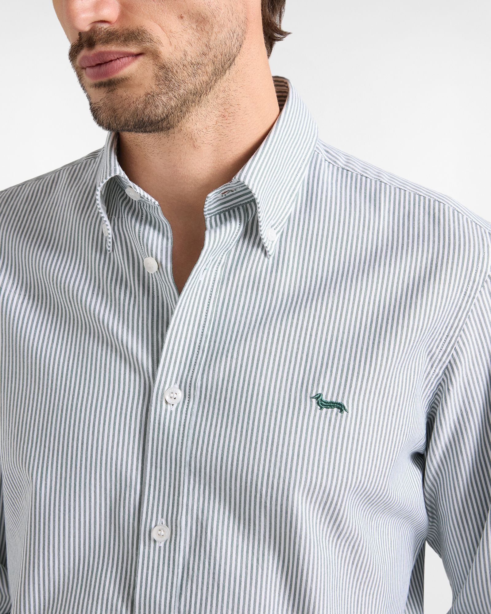 Camicia Uomo riga oxford tinto filo Regular Fit, VERDE BOTTIGLIA, large