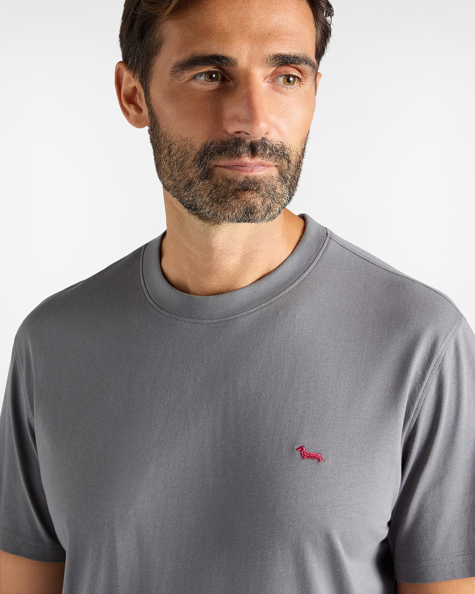 T-shirt Uomo in 100% puro cotone Regular Fit, GRIGIO, large
