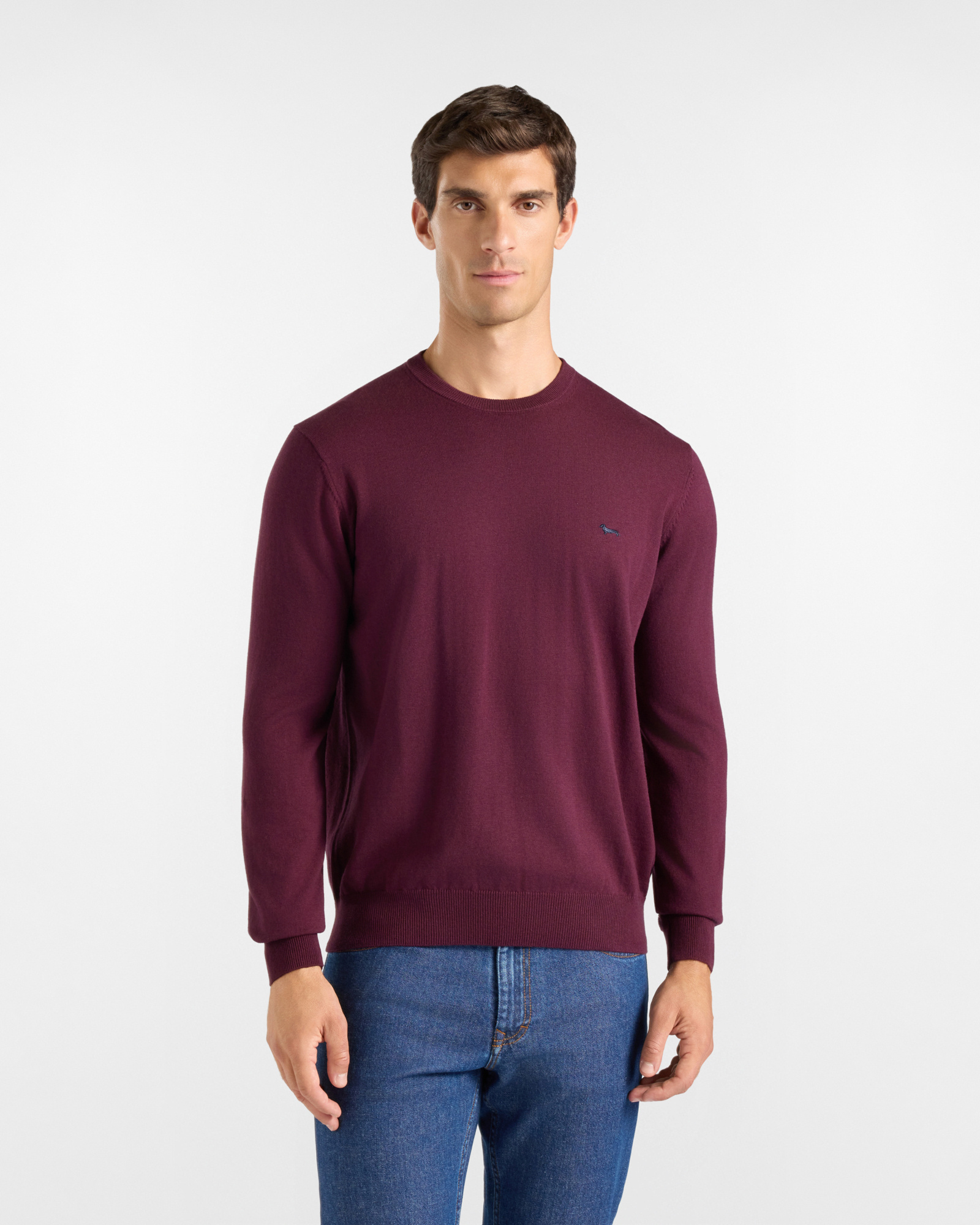 Maglia Uomo in misto lana e cotone viola scuro Regular Fit