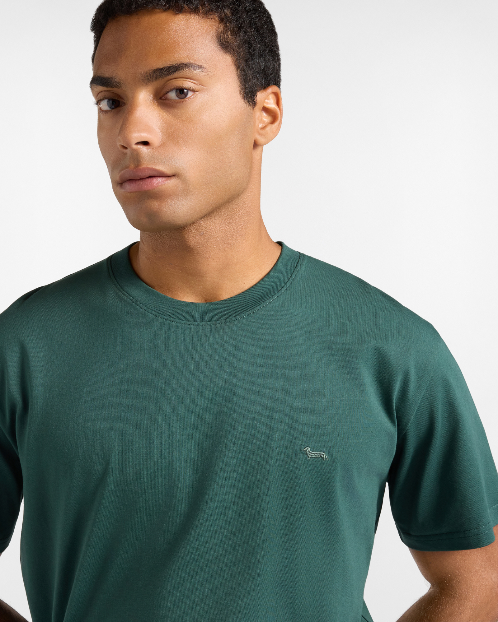 T-shirt Uomo in 100% puro cotone Relaxed Fit, VERDE BOTTIGLIA, large