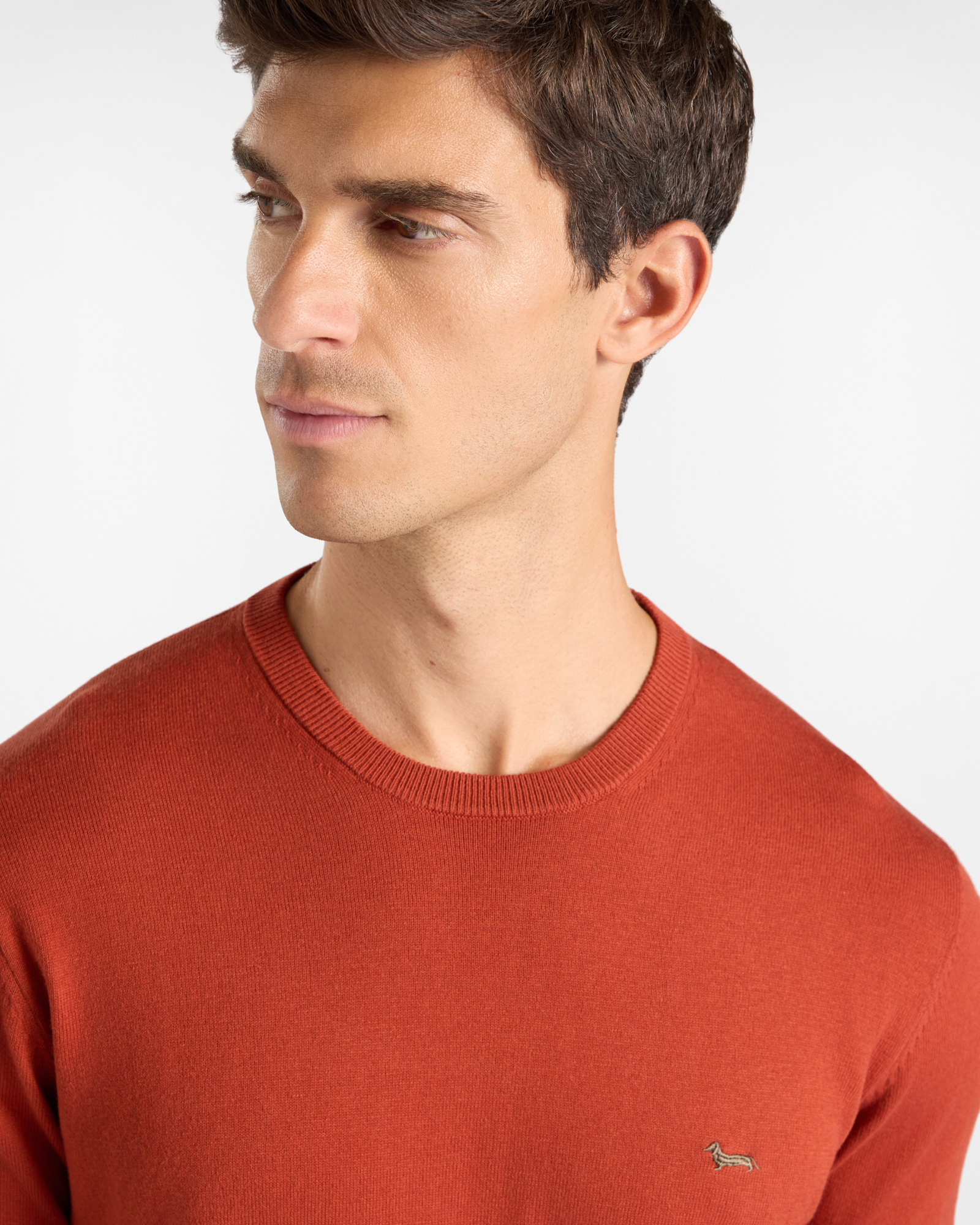 Maglia Uomo in misto lana e cotone  Regular Fit, ROSSO MATTONE, large
