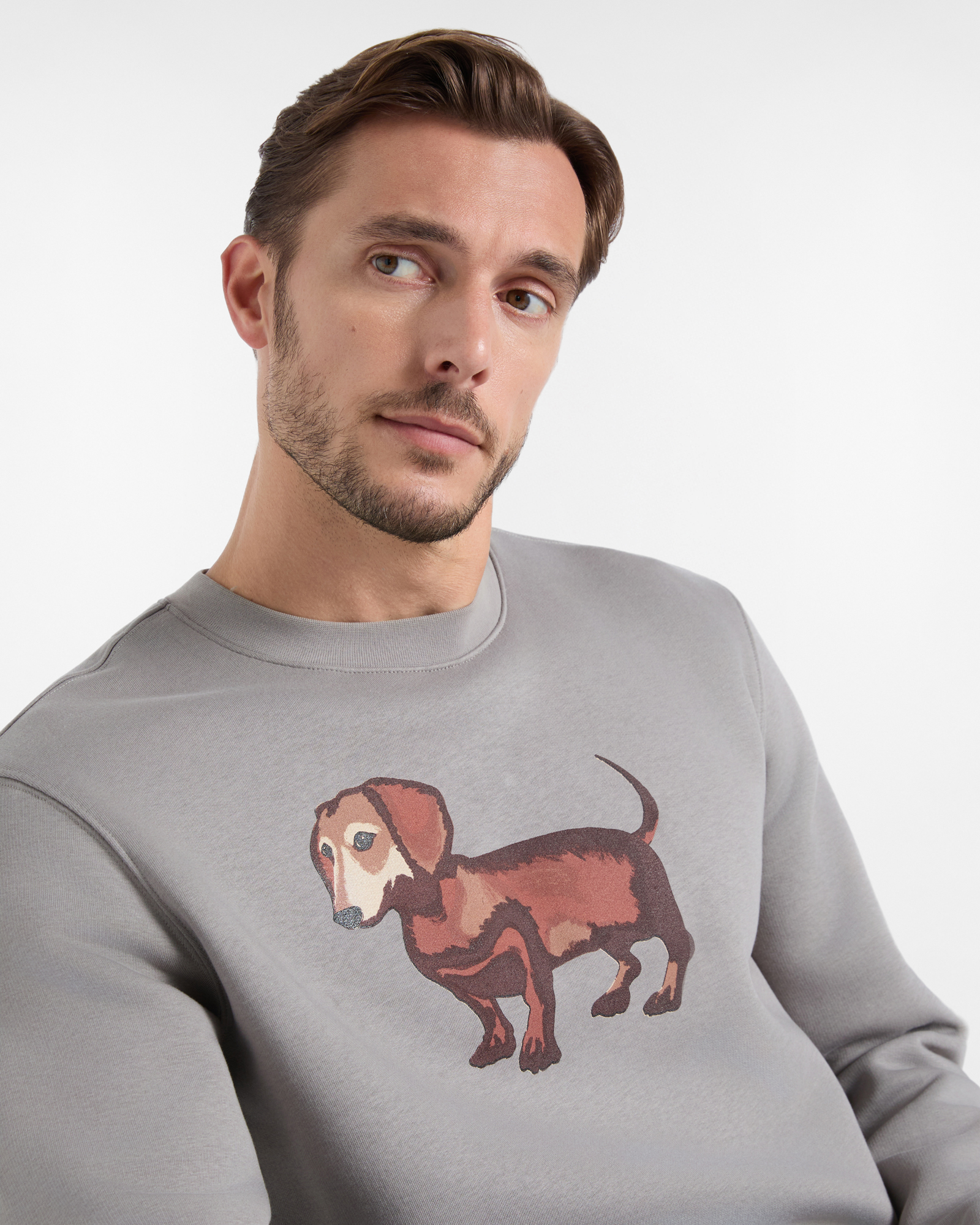 Felpa Uomo girocollo in garzata con maxi Bassotto stampato capsule Blaine, GRIGIO, large