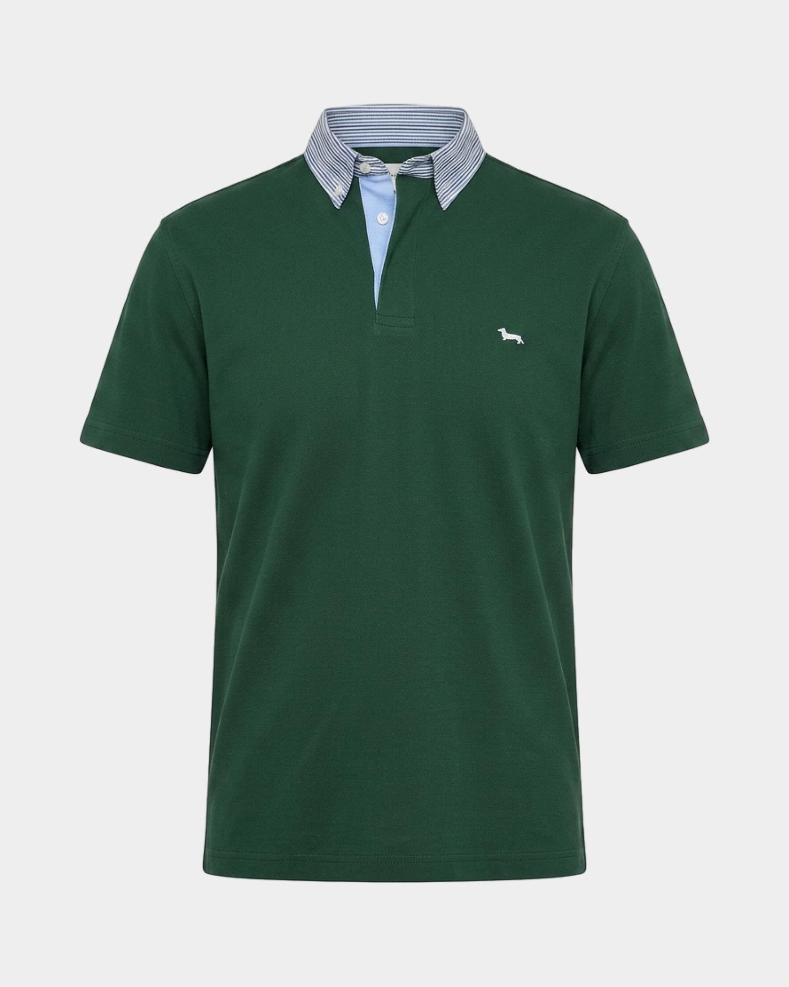 Polo Uomo Vietri in Piquet di Cotone con Collo a Contrasto, VERDE BOTTIGLIA, large