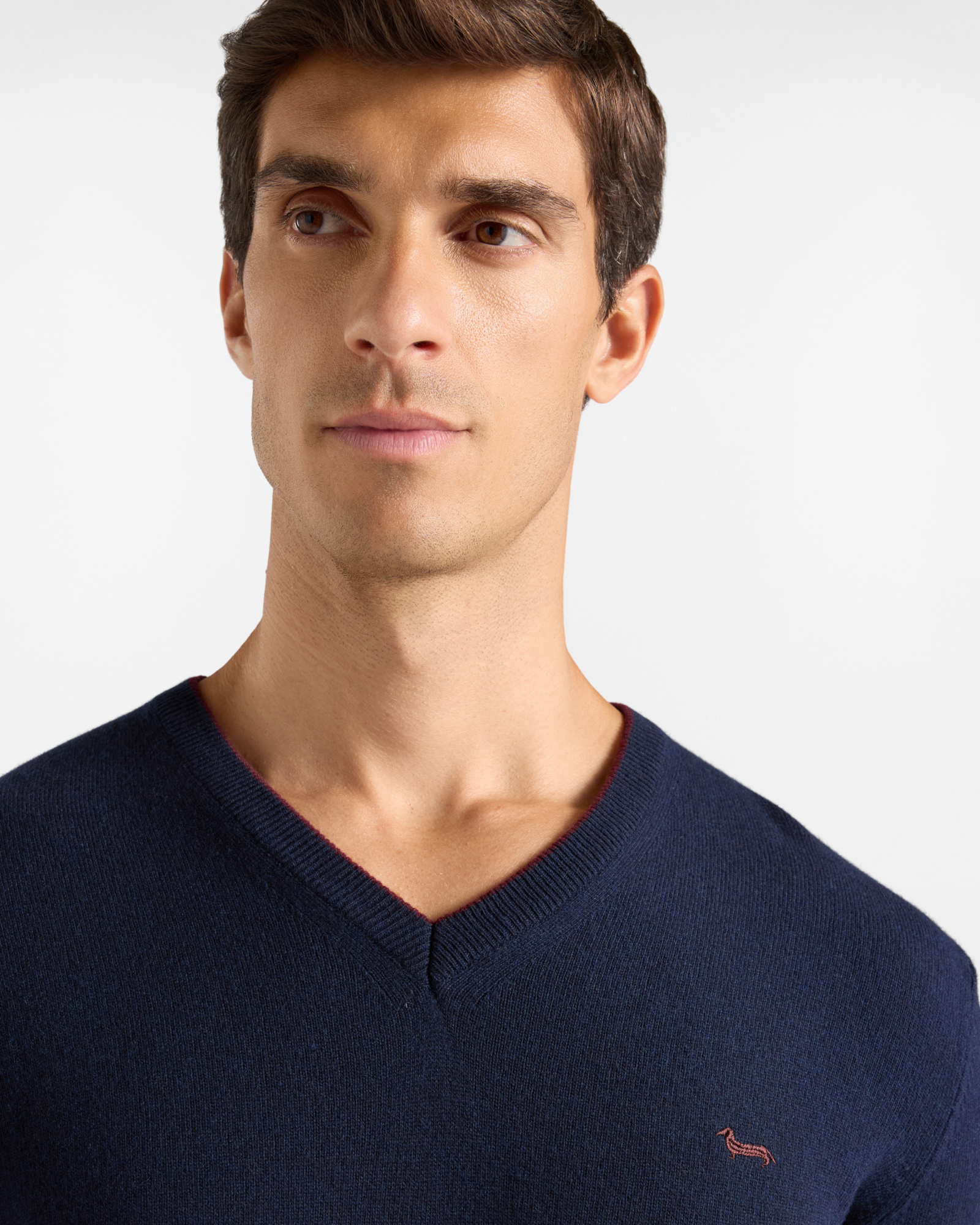 Maglia Uomo con scollo a V in misto lana e cashmere  Regular Fit, BLU NAVY, large