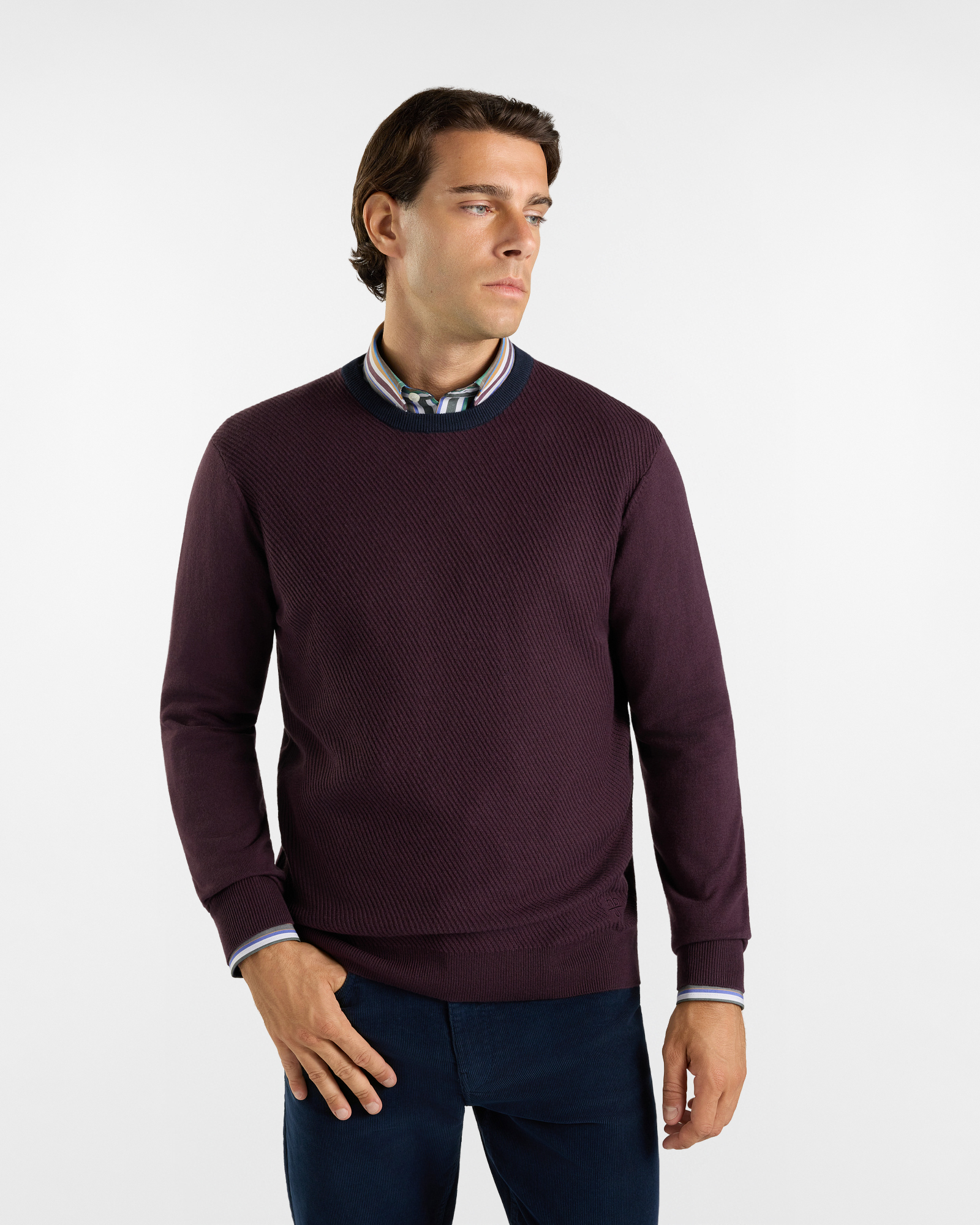 Maglia girocollo HBJ Uomo collo a contrasto in misto lana e cashmere prugna