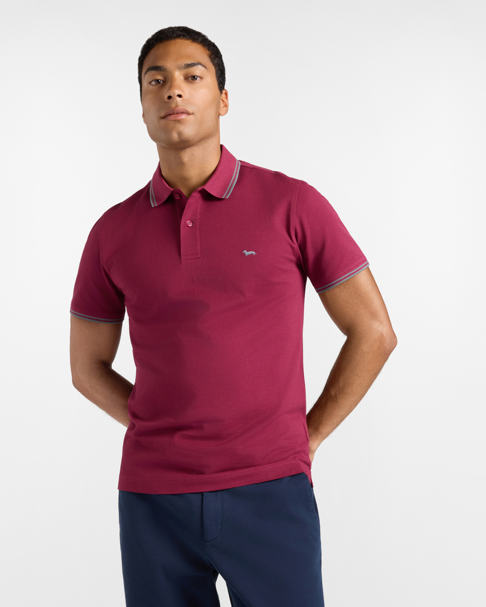 Polo da uomo manica corta in piquet di 100% puro cotone indian rose