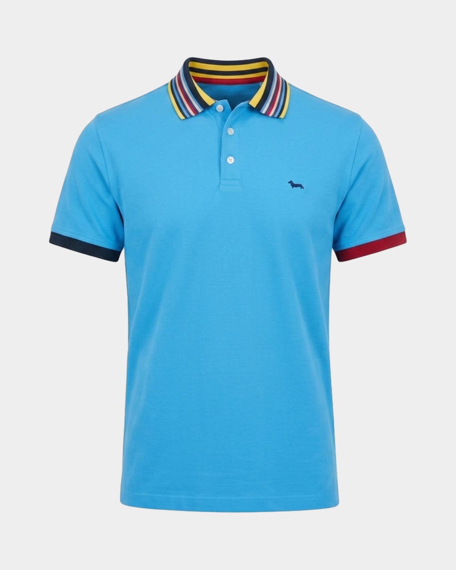 Polo da uomo manica corta in piquet mercerizzato di 100% puro cotone, AZZURRO, large