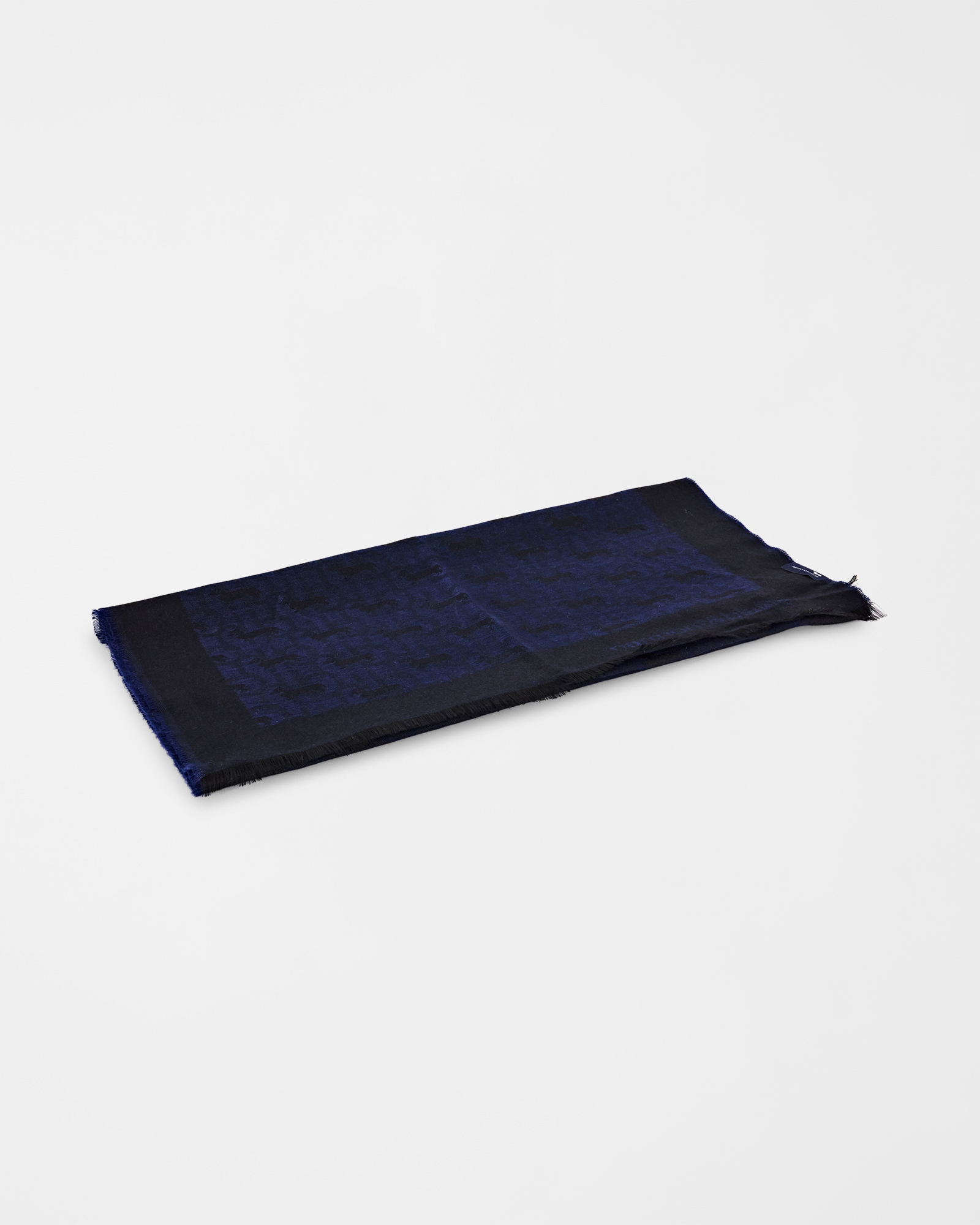 Sciarpa Uomo Monogram in Viscosa con Jacquard Bassotto All-Over, BLU, large