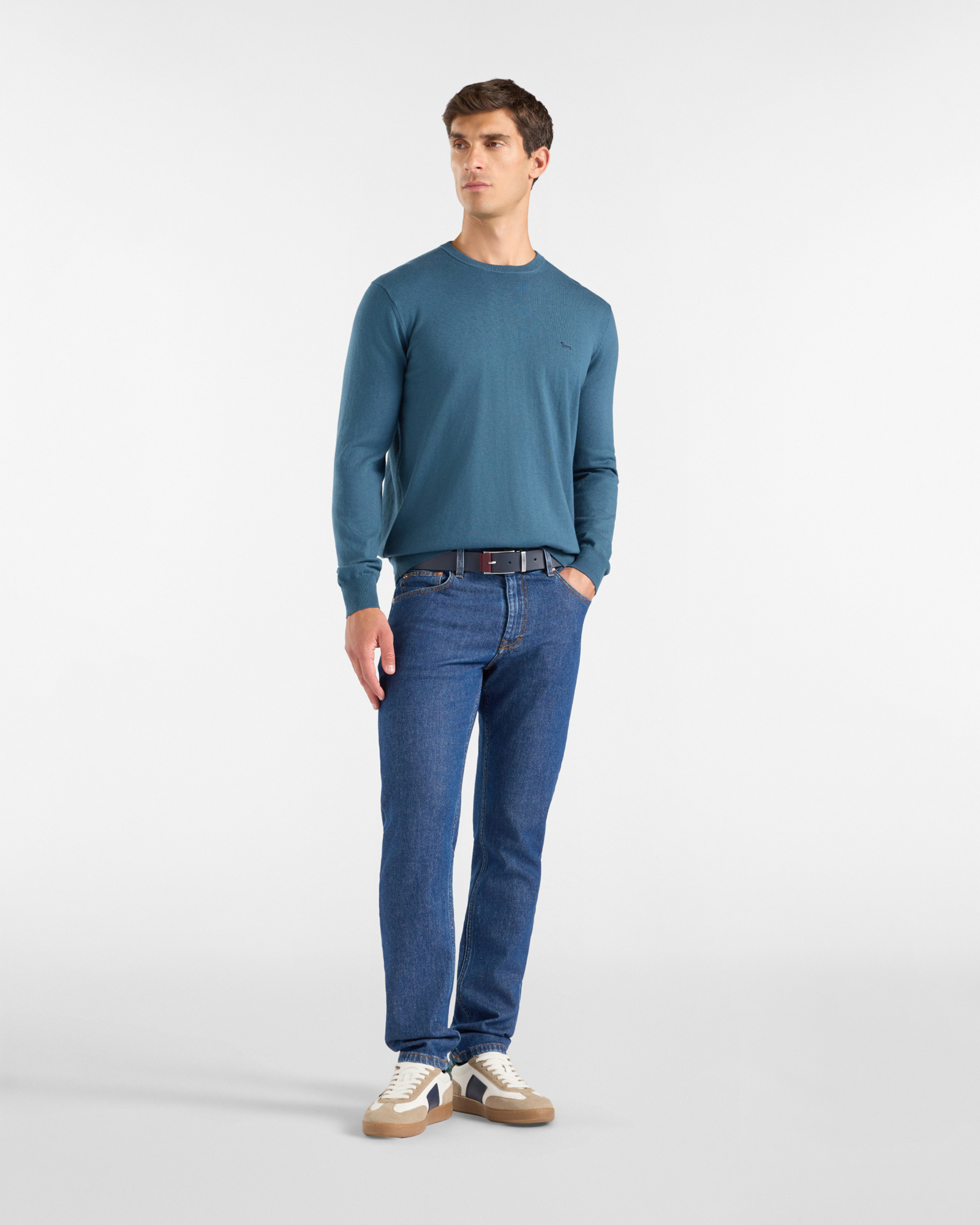 Maglia Uomo in misto lana e cotone  Regular Fit, VERDE OTTANIO, large