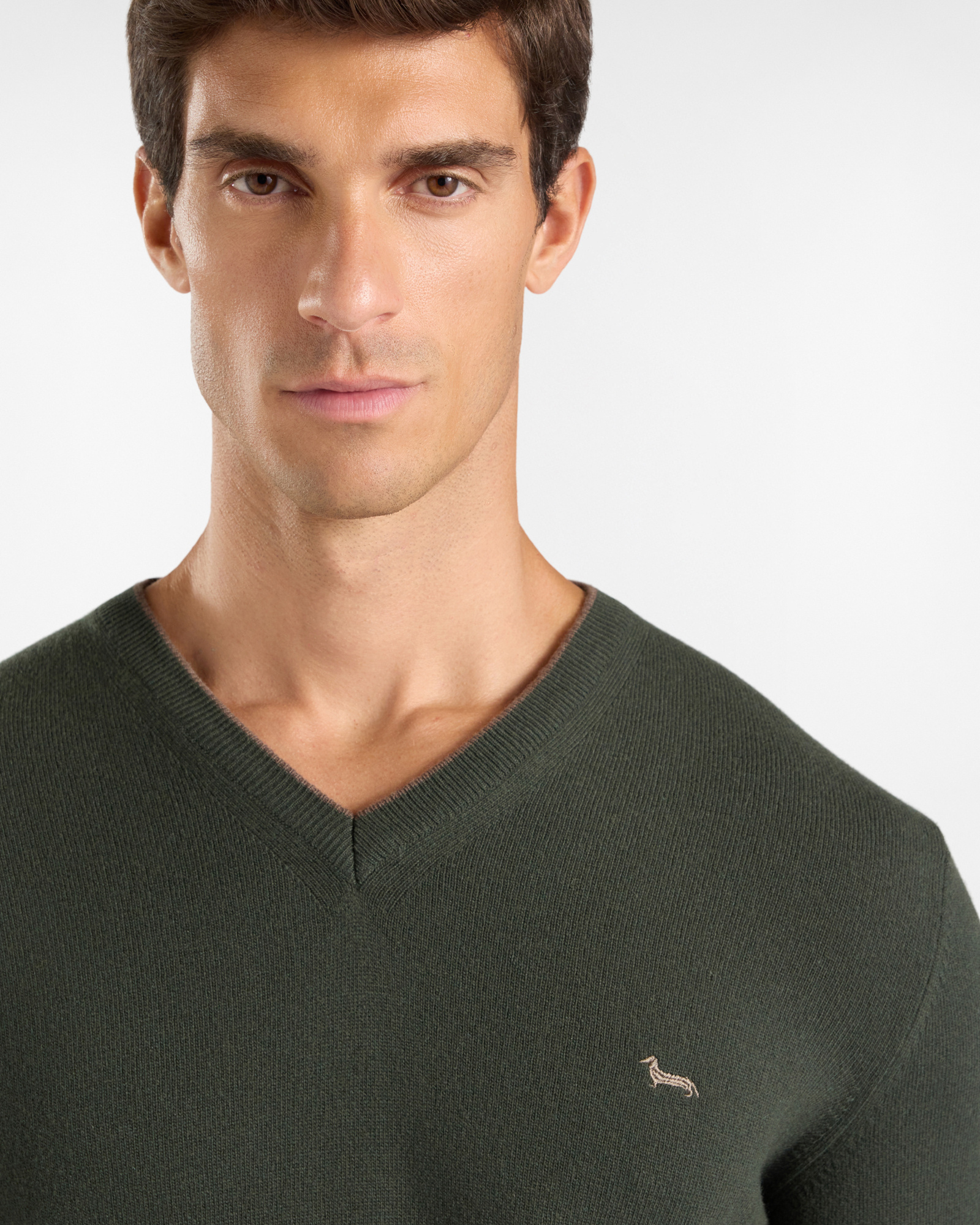 Maglia Uomo con scollo a V in misto lana e cashmere  Regular Fit, VERDE SPORT, large