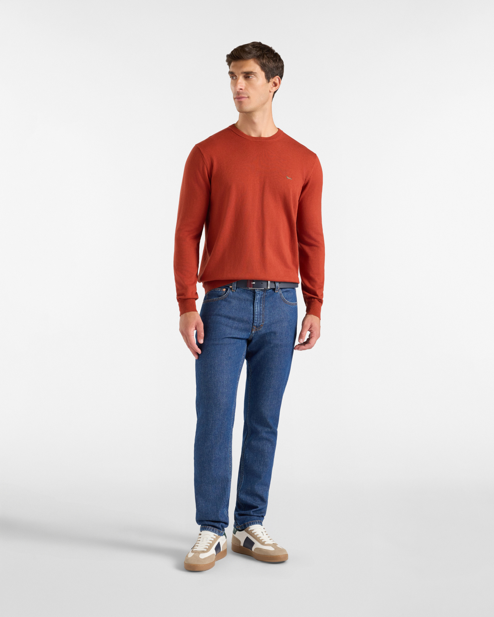 Maglia Uomo in misto lana e cotone  Regular Fit, ROSSO MATTONE, large