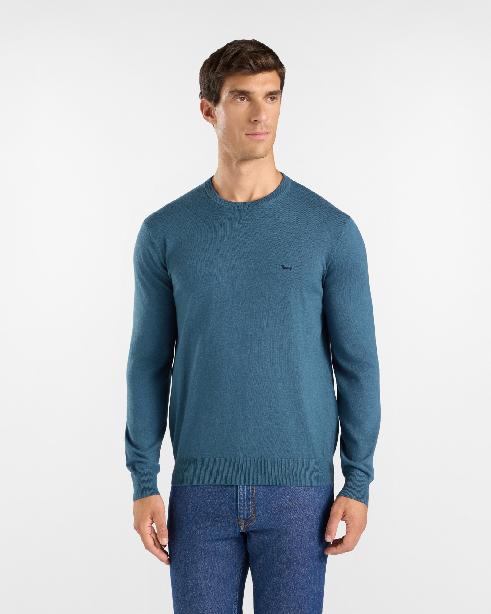 Maglia Uomo in misto lana e cotone Regular Fit