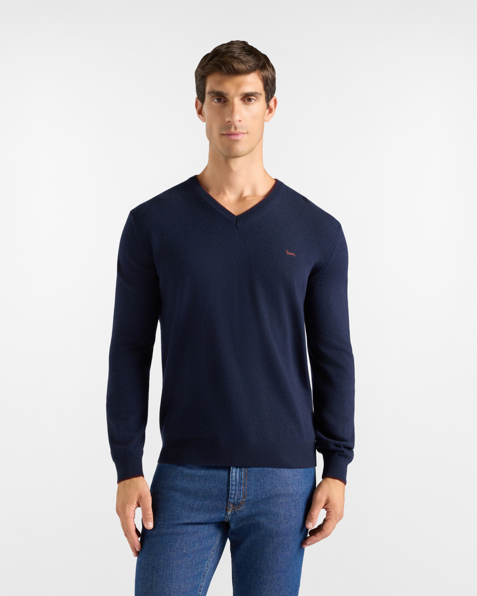 Maglia Uomo con scollo a V in misto lana e cashmere blu Regular Fit
