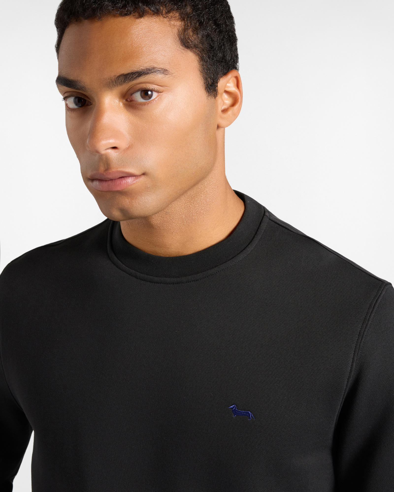 Felpa Uomo girocollo in felpa garzata Regular Fit, NERO, large