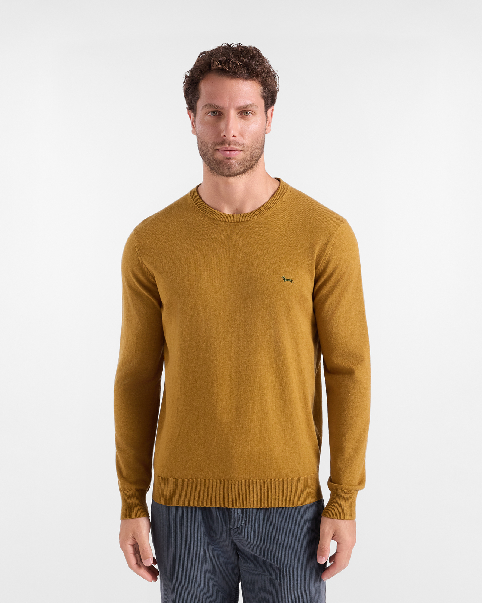 Maglia Uomo in misto lana e cotone marrone Regular Fit