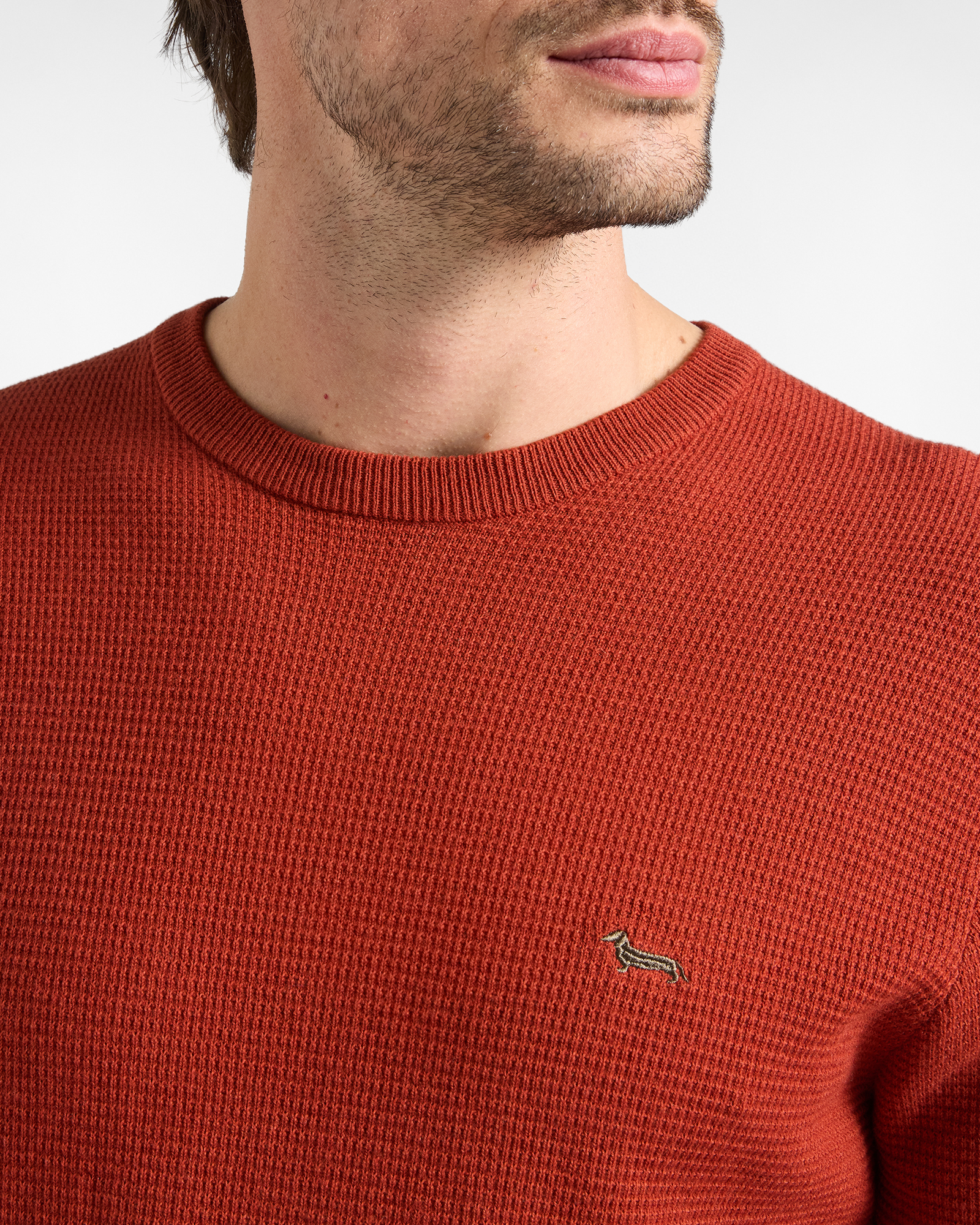 Maglia Uomo in misto lana e cotone Regular Fit, ROSSO MATTONE, large