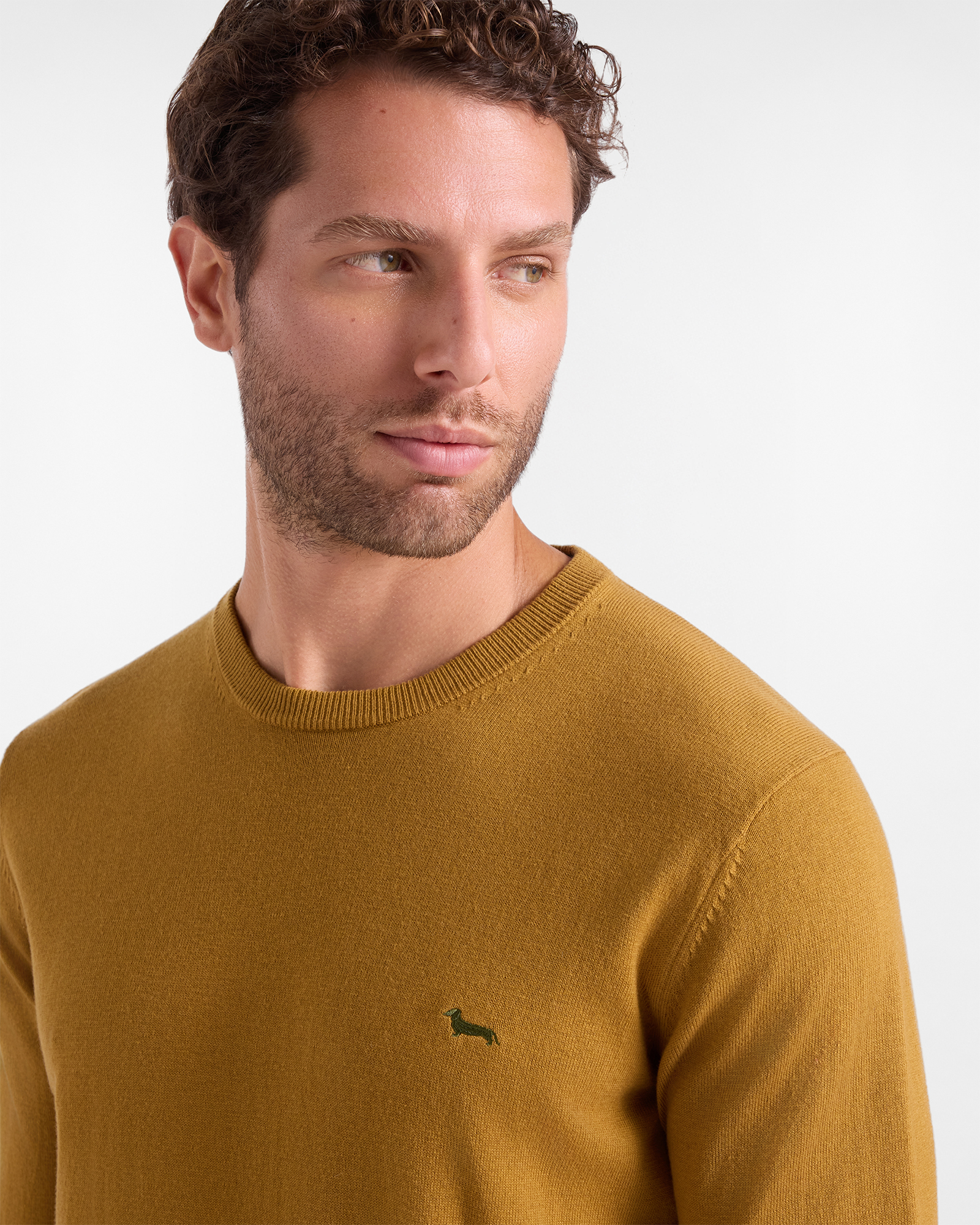 Maglia Uomo in misto lana e cotone  Regular Fit, MARRONE, large